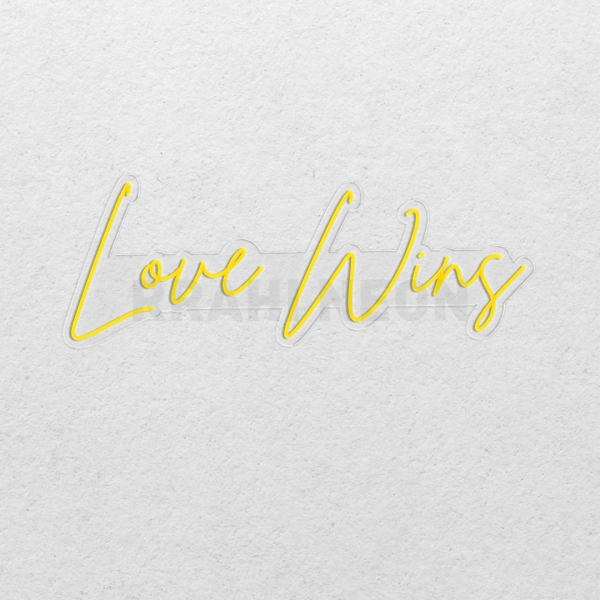 Love wins | RRAHI NEON Flex Led Sign